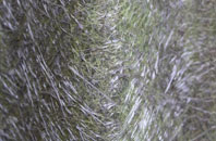 Victoria fibreglass roof work